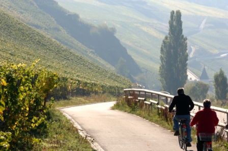 Radweg in Trittenheim