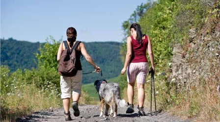 Wanderer an der Mosel
